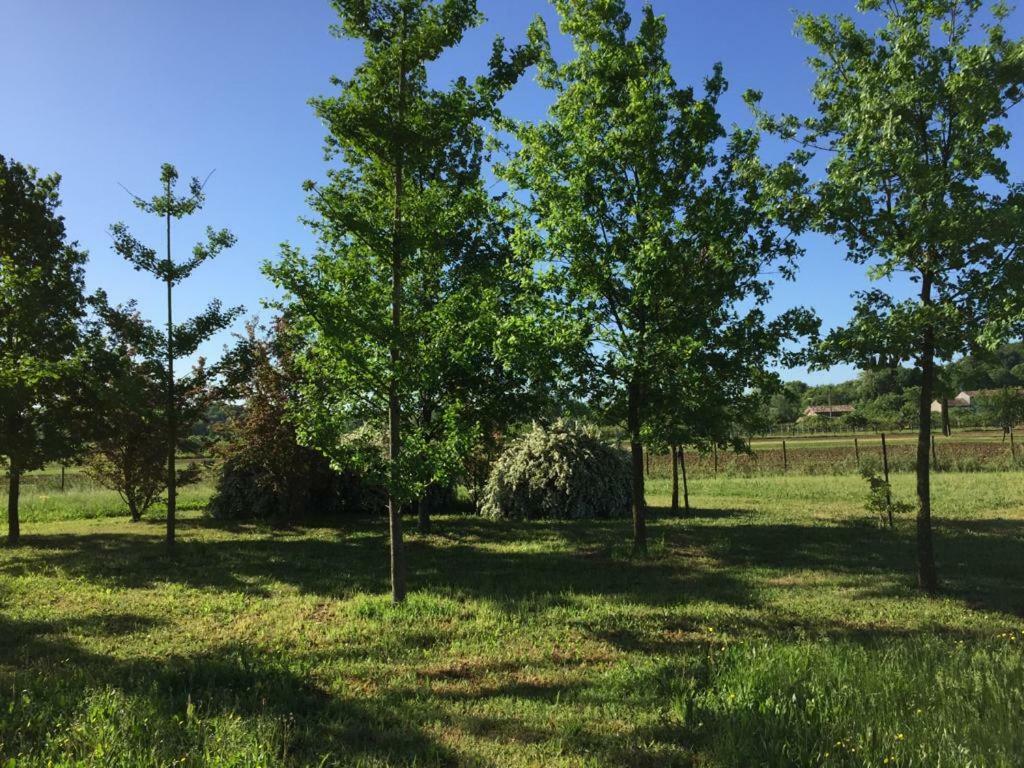Casa In Campagna _Lori Волта Мантована Екстериор снимка
